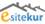 esitekur Profesyonel web yazılımları